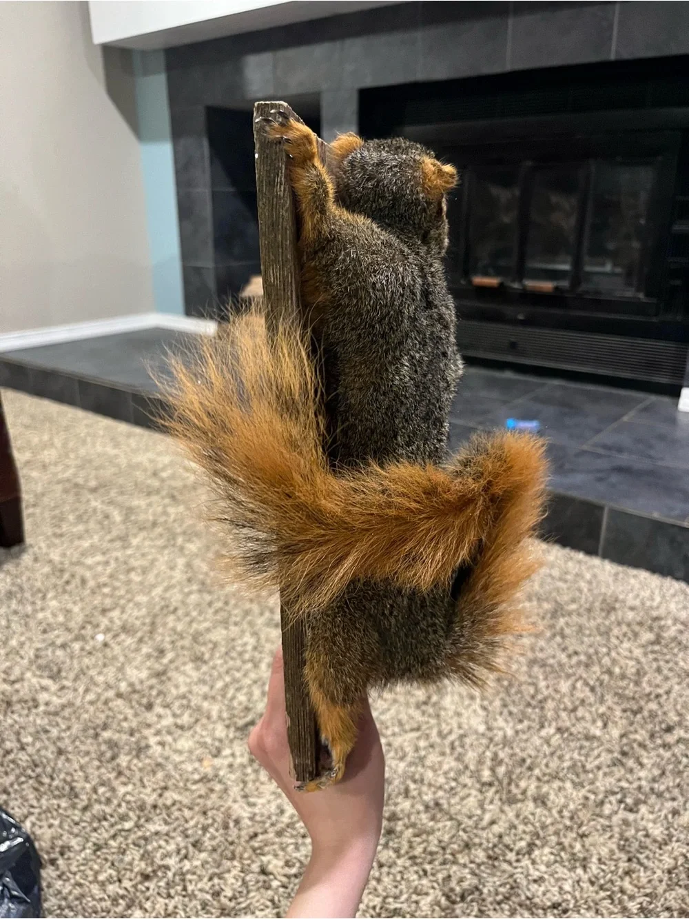 Rustic Gray and Orange Squirrel Wall Accent - Unbranded